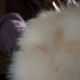 Filename=M1120173.jpeg
Filesize=16KiB
Dimensions=624x352
Date added=Mar 12, 2010 M1120173.jpeg