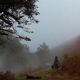 Filename=M2110367.jpeg
Filesize=27KiB
Dimensions=624x352
Date added=Mar 14, 2010 M2110367.jpeg