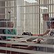 Filename=vlcsnap-2016-04-03-00h01m40s46.jpg
Filesize=68KiB
Dimensions=720x404
Date added=Apr 03, 2016 vlcsnap-2016-04-03-00h01m40s46.jpg